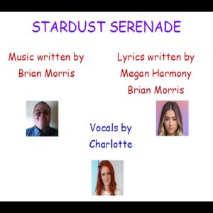 STARDUST SERENADE